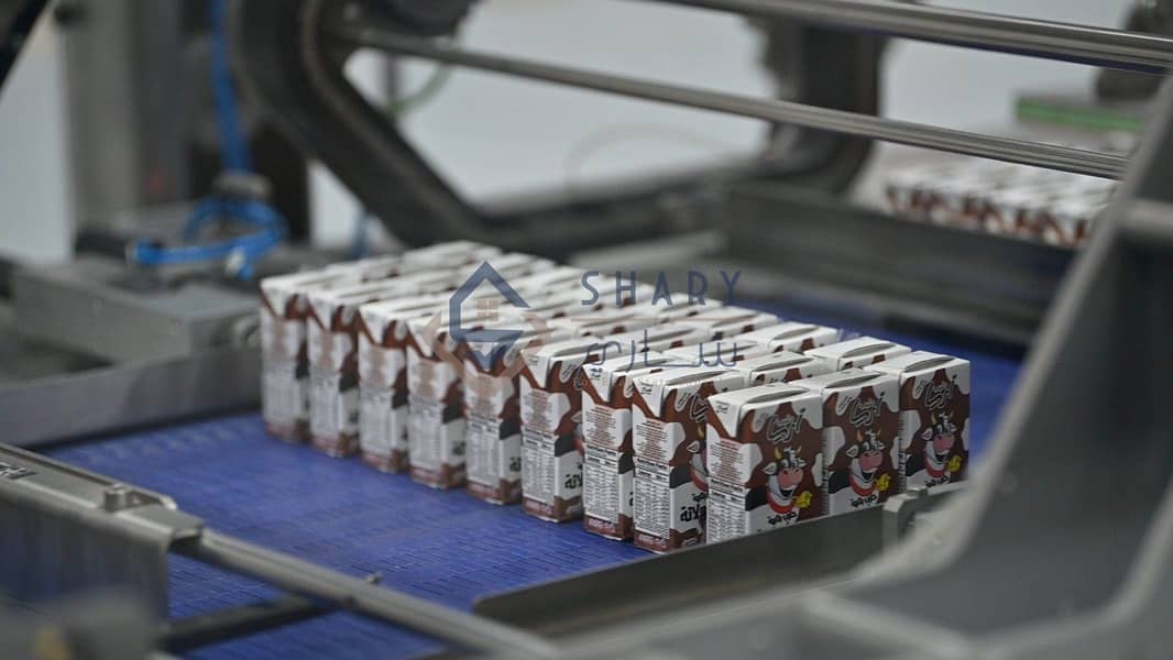 3 elaosboa94137. jpeg