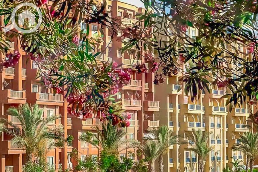 10 WhatsApp Image 2025-05-06 at 12.31. 23 PM (1). jpg