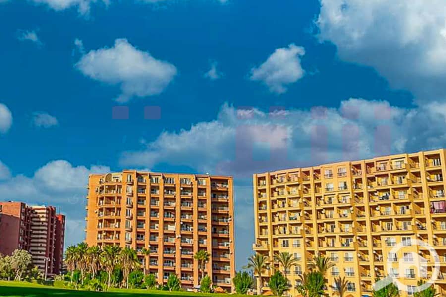 12 WhatsApp Image 2025-05-06 at 12.31. 24 PM. jpg