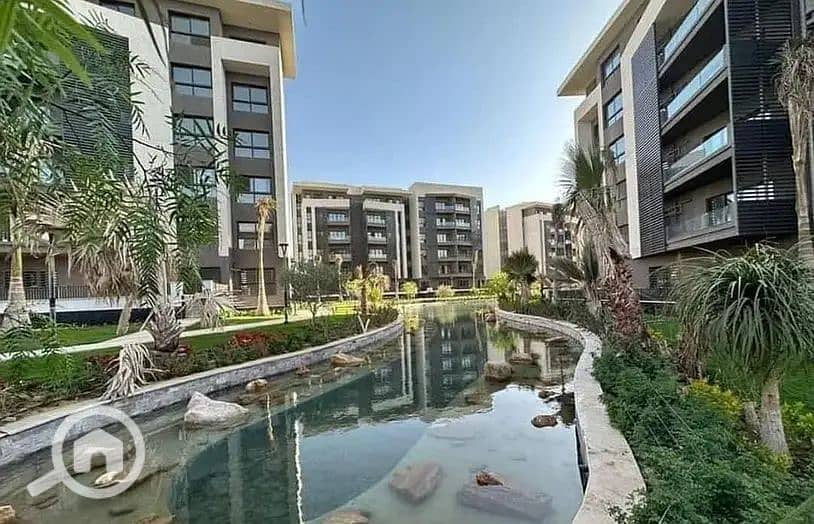 5 privado 4 need done. png