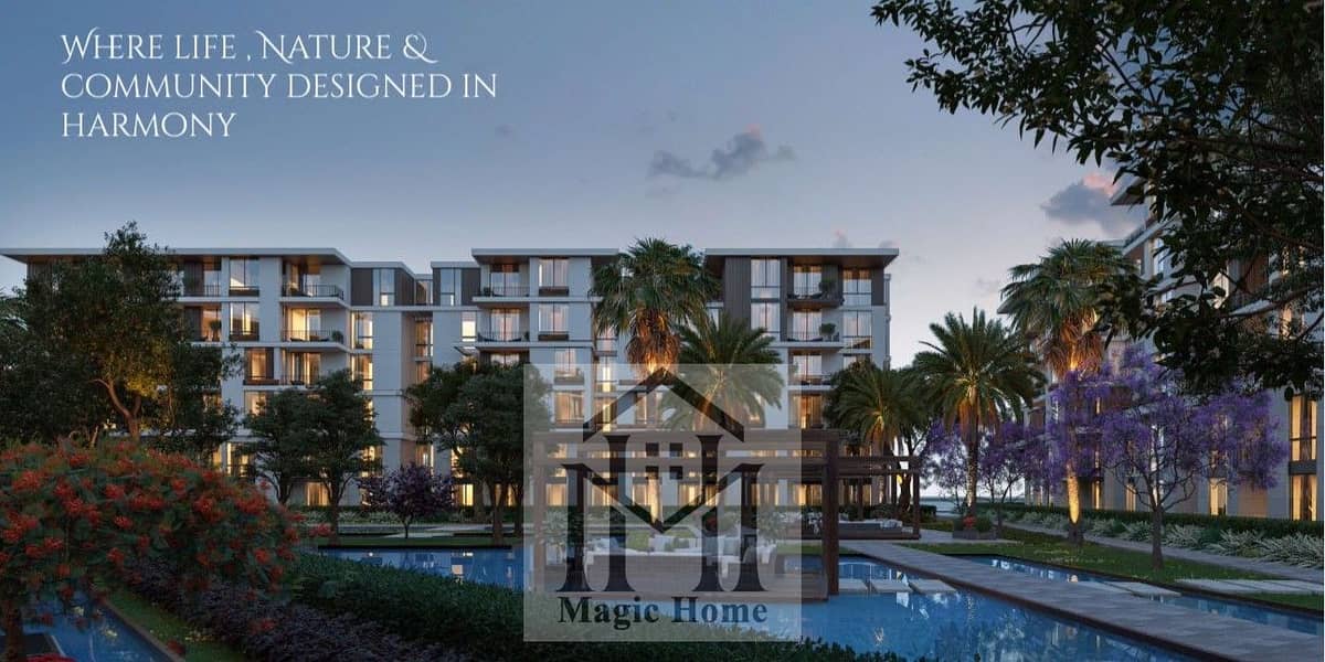 6 1950d5cd-e2ce-426b-83ce-07b3ac5921c3. jpg