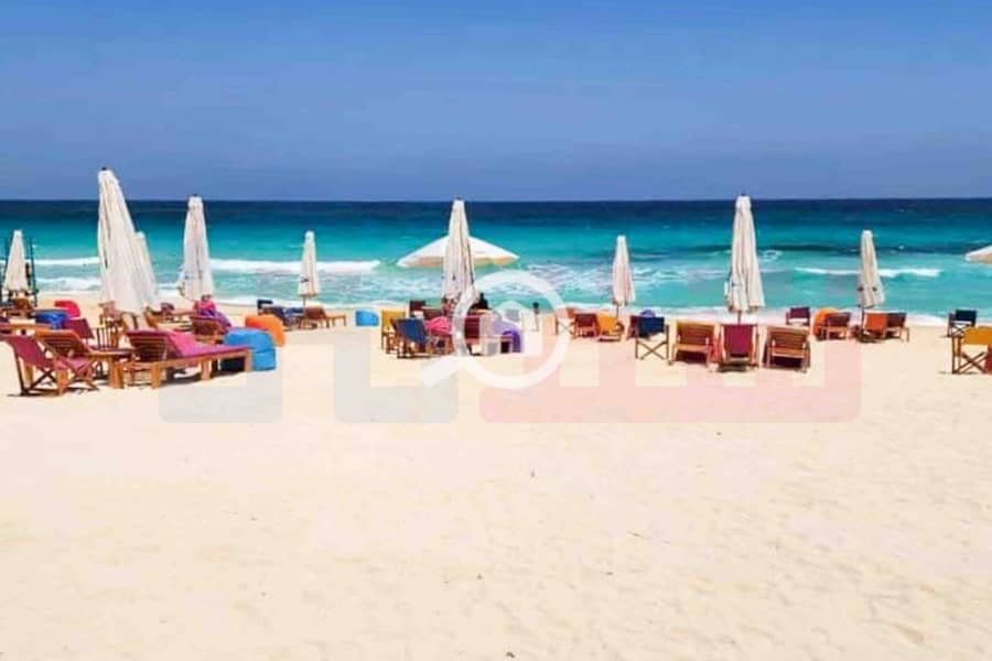 5 WhatsApp Image 2024-12-21 at 13.34. 25_2c7e30e4. jpg