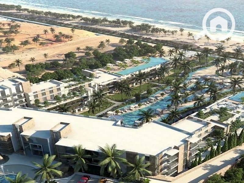 5 img-20231014-211937-254. jpg