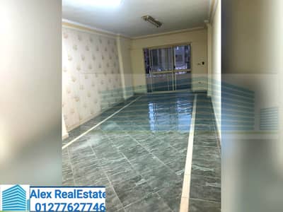 مکتب  للايجار في لوران، الإسكندرية - WhatsApp Image 2025-12-05 at 8.34. 54 PM. jpeg