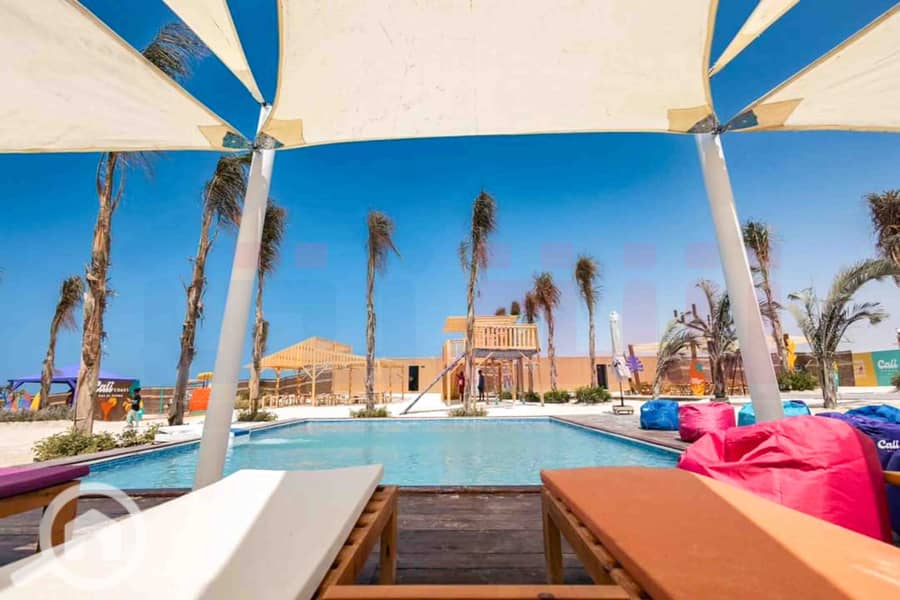 4 WhatsApp Image 2024-12-21 at 13.34. 24_77b38e6b. jpg