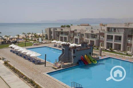 2 9dFu6YY6nzArIgUb. jpg