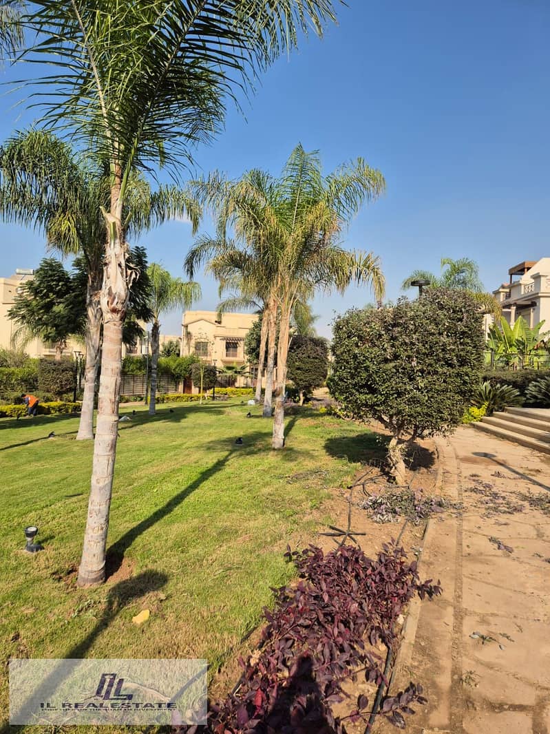 3 bf86af42-3618-4457-99be-b360dcae672c. jpg