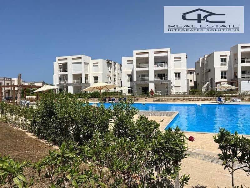 7 657b4162-835f-4447-b8db-934a00841646. jpg