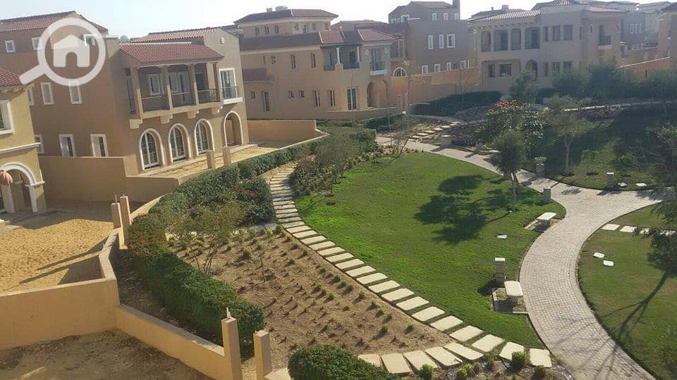 4 41562919_329060204504628_6080001939540541440_n. jpg