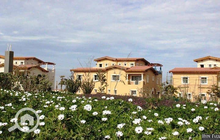 5 41652897_245350152989210_8568979824519938048_n. jpg