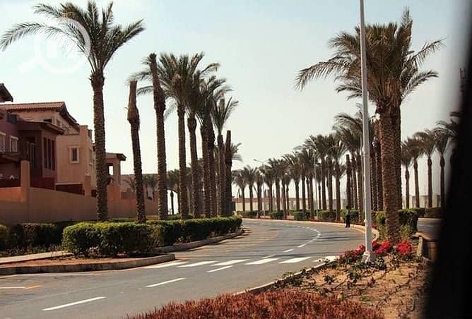 9 41795510_288221885112510_1542017766070943744_n (1). jpg