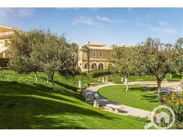 10 48407625_226565704899924_7640699145447014400_n. jpg