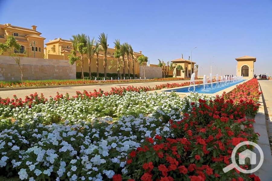 2 489371832_1263970018595351_7508707782156429417_n. jpg