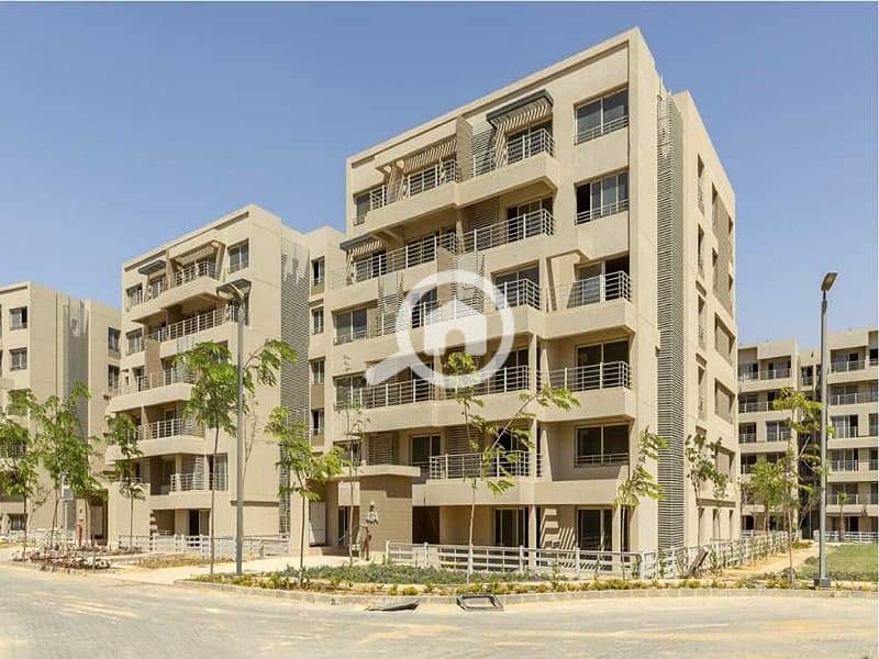 5 1649930341-PH_Web_1250x625-CG-1. jpg