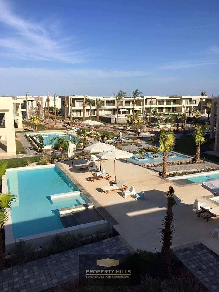 6 102569172_244012236897062_4692778765362370027_n. jpg