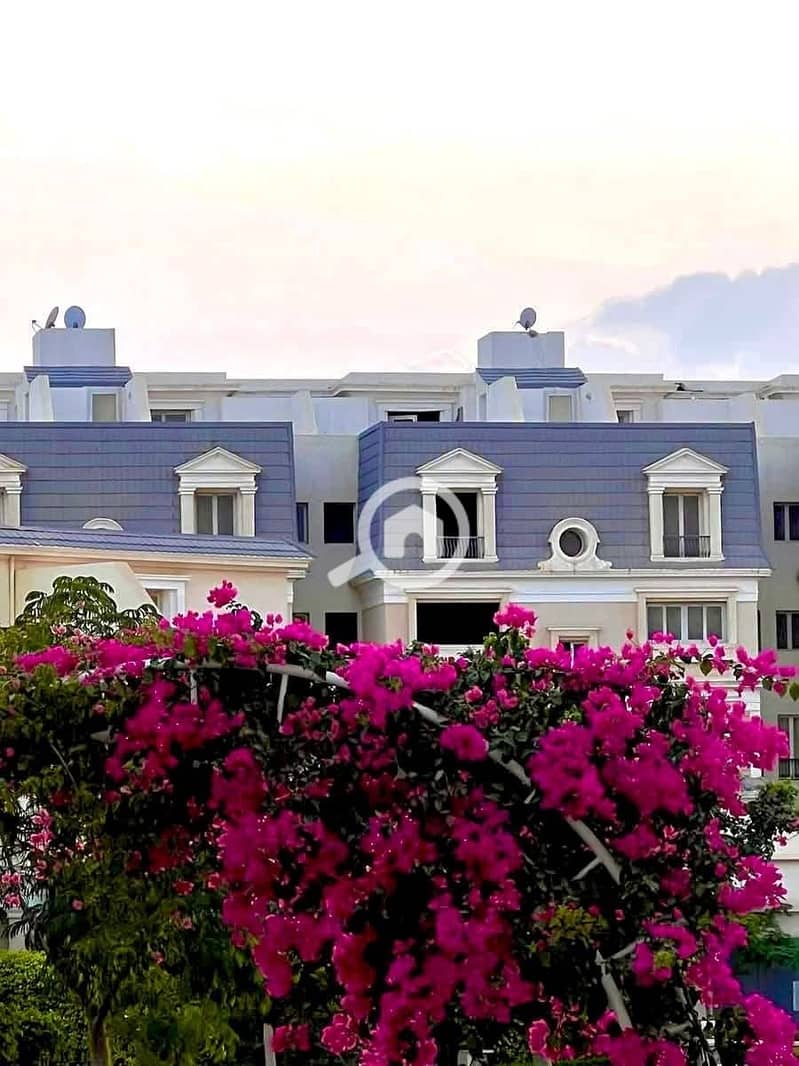 7 WhatsApp Image 2025-11-05 at 11.43. 20 AM (1). jpeg