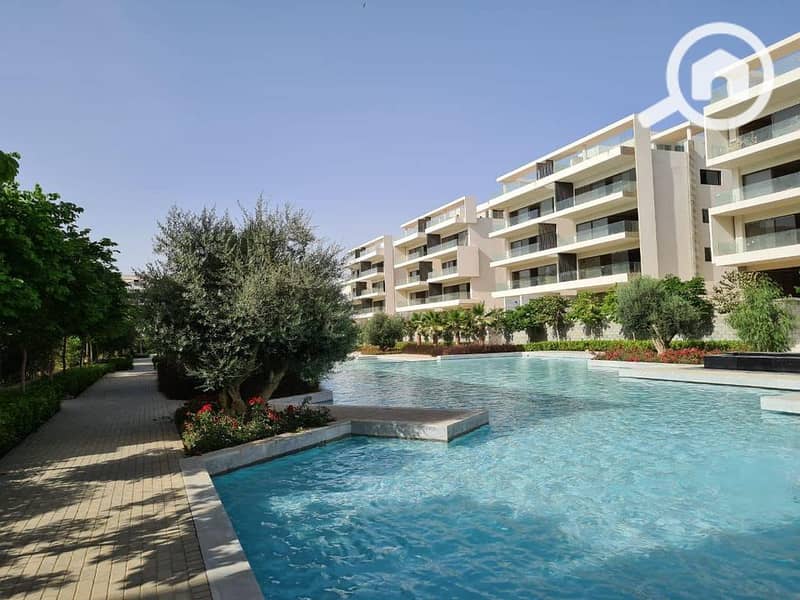 4 264445604_1349537975496562_6748255534838355015_n. jpg