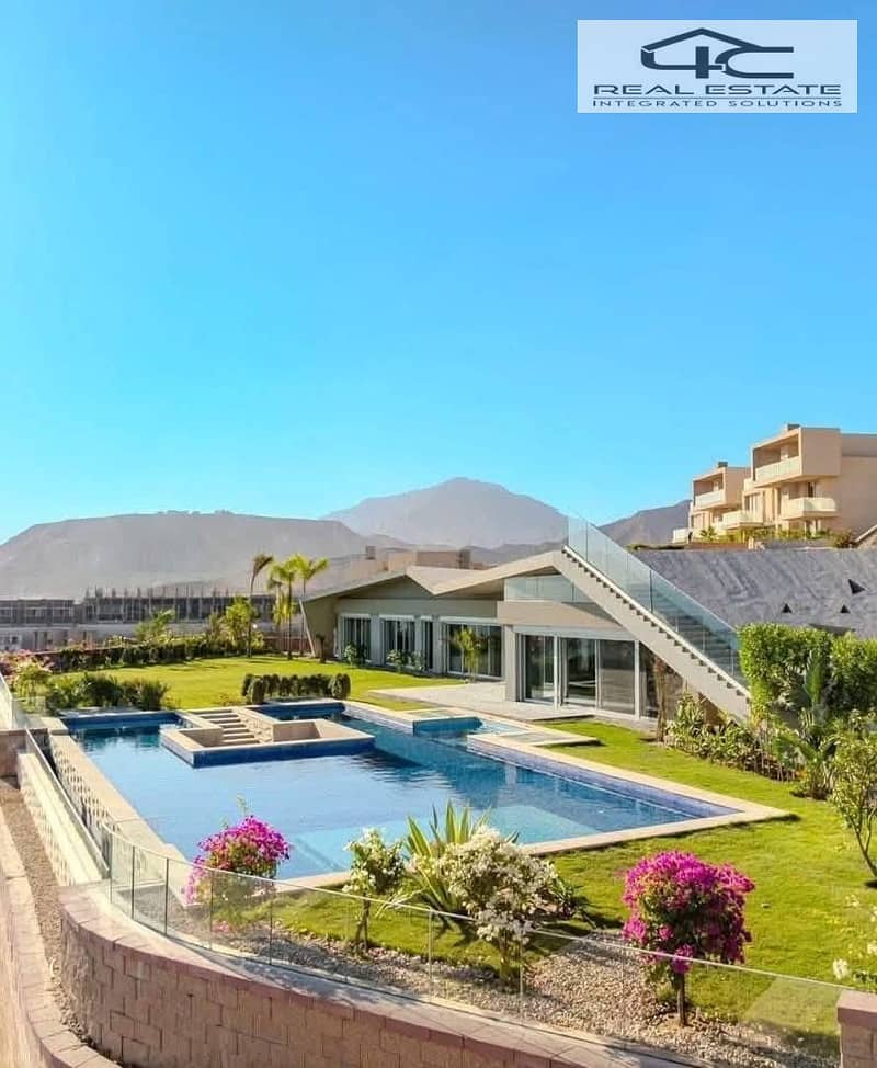 5 57082389-39bc-4d23-a2b4-e615bf2544bf. jpeg