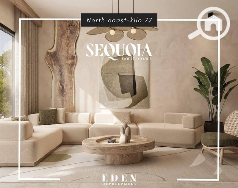 41745e36-1af0-4ab4-88e2-49cc45d9b956. jpg 41745e36-1af0-4ab4-88e2-49cc45d9b956. jpg