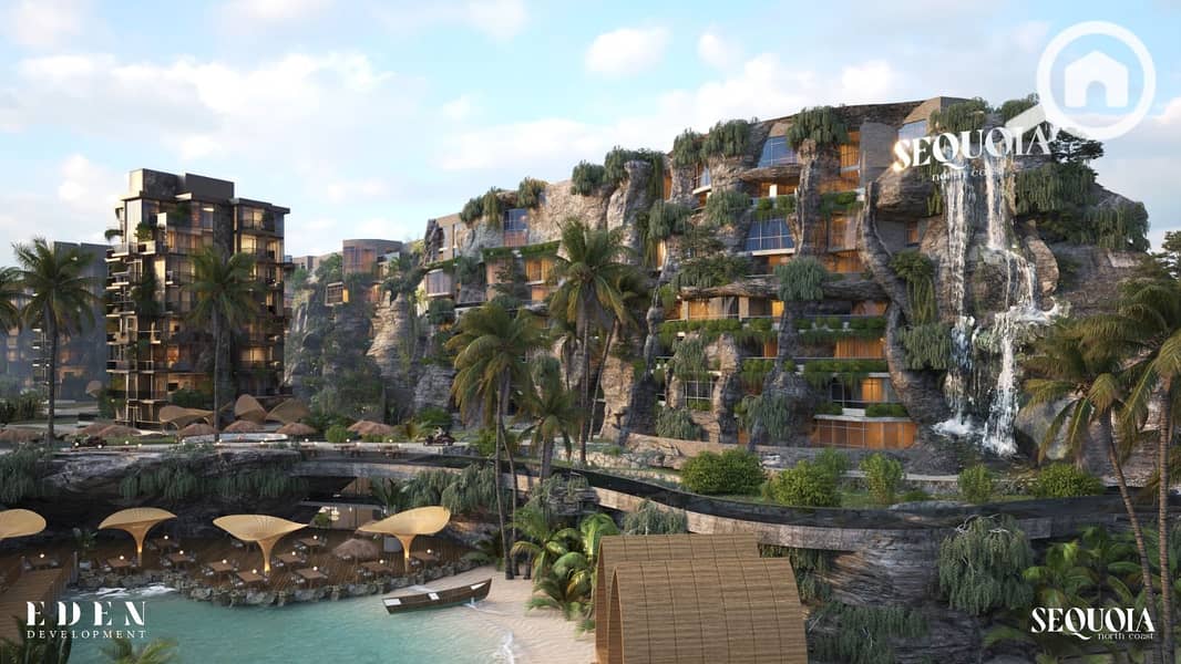 4 93454554-9b4a-4159-894c-e33d904a0fb3. jpg