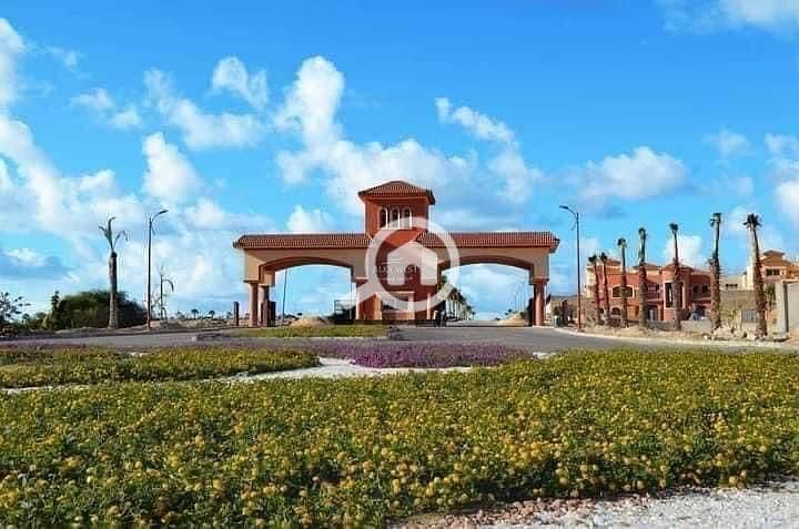 7 IMG-20250804-WA0074. jpg