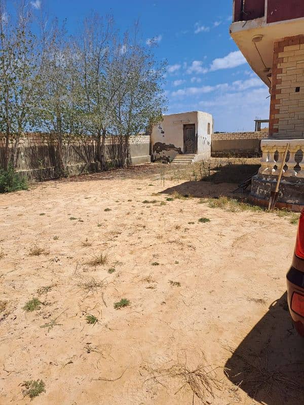 للبيع بالساحل الشمالي الكيلو71 للبيع بالساحل الشمالي الكيلو71