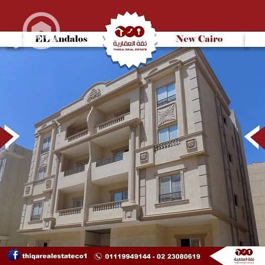 8 9257b921-cc56-499b-b5ee-66dd990be594. jpg