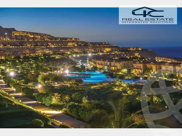 4 53e8c69c-3a6d-43cf-ad99-a4ec35d30793. jpg