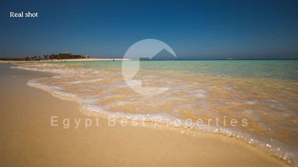 4 WhatsApp Image 2025-08-20 at 1.41. 26 PM (1). jpeg