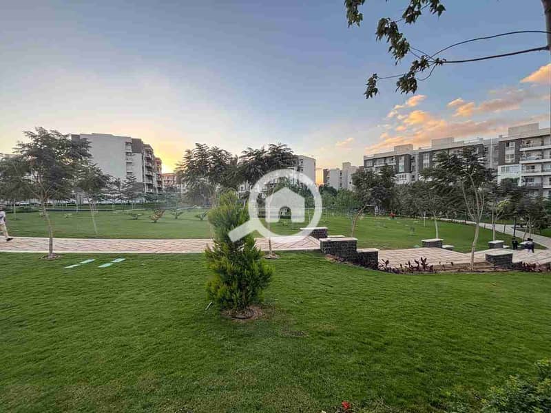 1001424335. jpg 1001424335. jpg