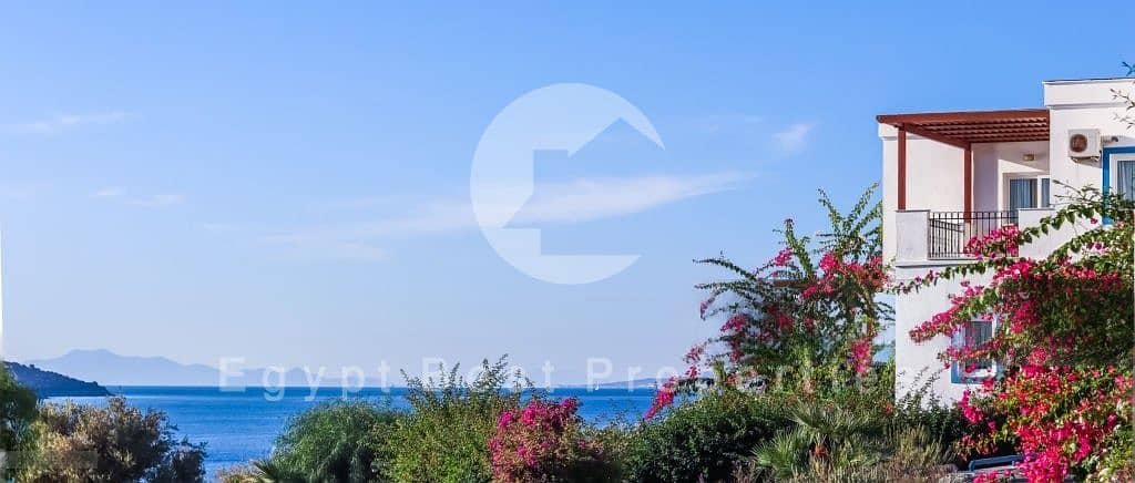 3 DeWatermark. ai_1757857138400. jpeg