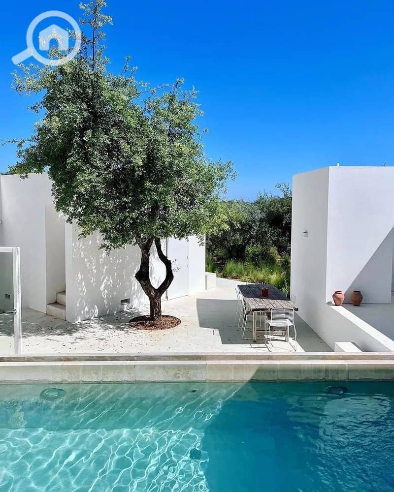 11 11f4d32b-ddab-4bee-b7ed-5cb6d2a03478. jpg