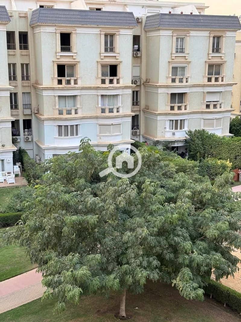 7 IMG-20251106-WA0203. jpg