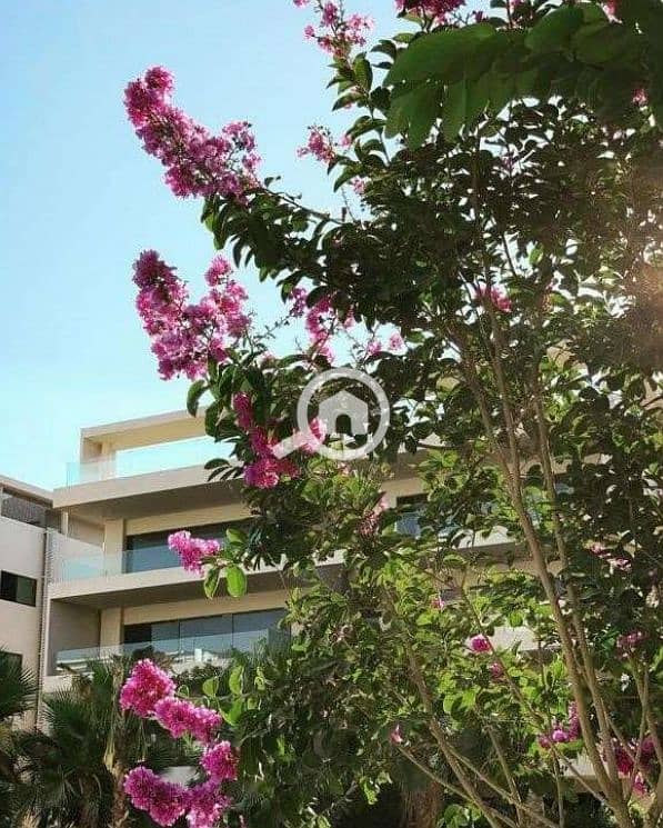 fdxzf. PNG fdxzf. PNG