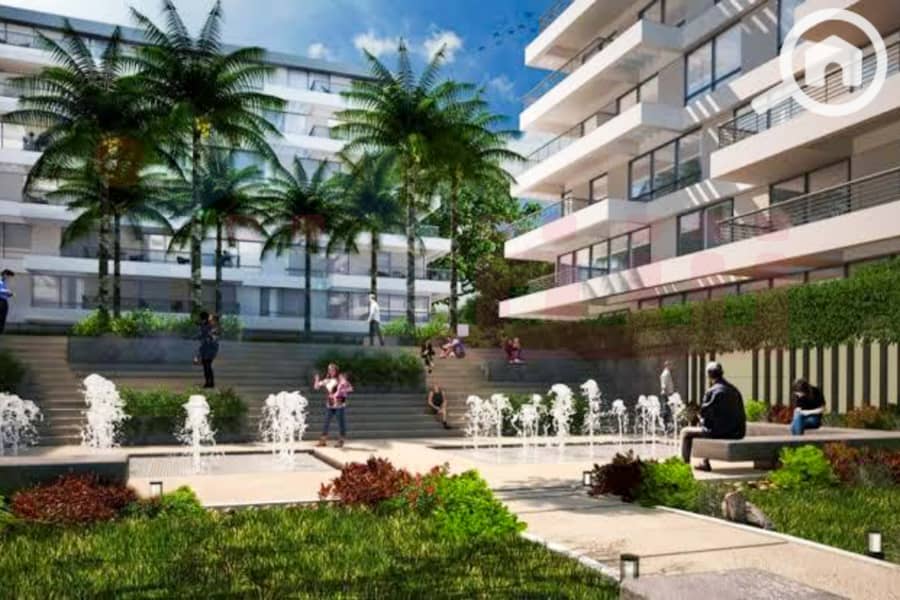 5 WhatsApp Image 2025-01-13 at 11.58. 44_bc3f0578. jpg