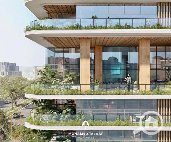 12 508756861_122148657026396007_7713233032008605521_n. jpg