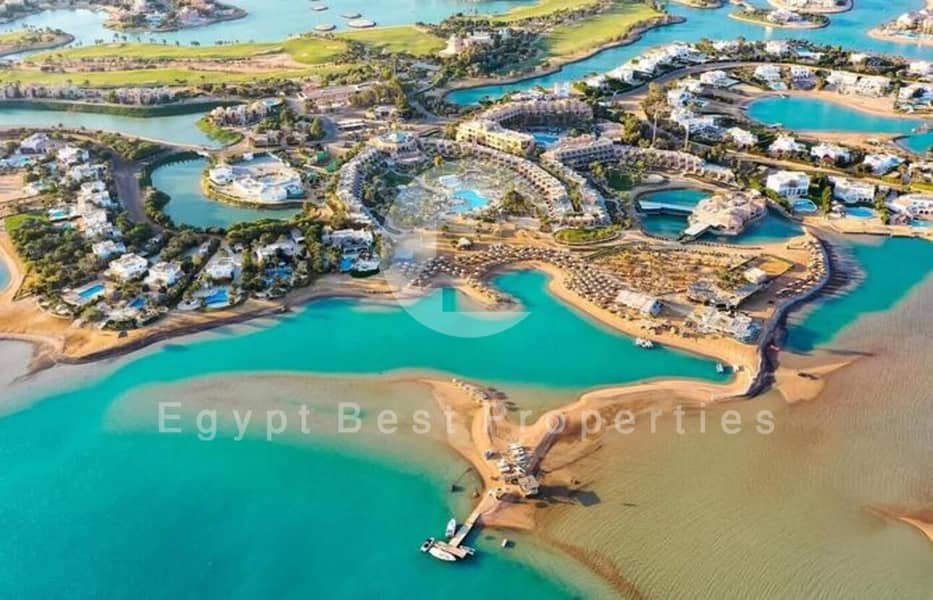 4 4519313-7d2a5o. jpg