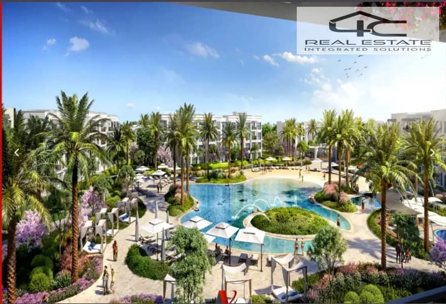 12 6336504-ef6d0o. png