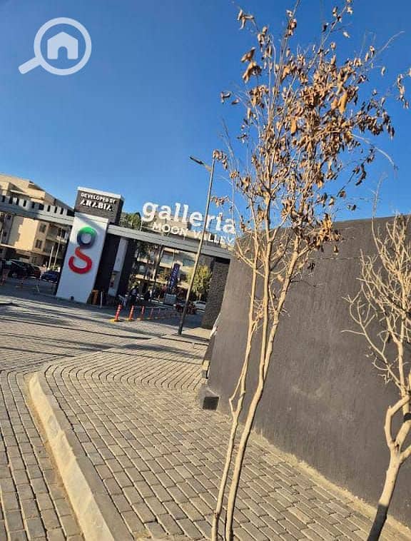 580066378_122158545716725424_735997023619804428_n. jpg 580066378_122158545716725424_735997023619804428_n. jpg