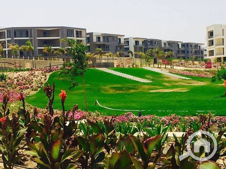 10 33030755_625604284467692_3363512288202981376_n. jpg