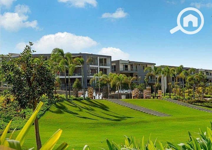 11 39526061_275155623085803_3745813391713763328_n. jpg