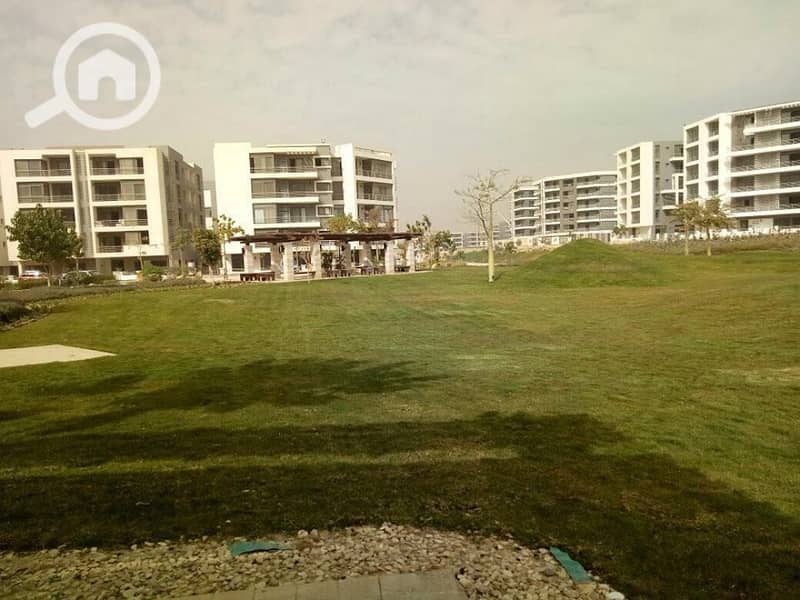 18 50517166_1155189794654552_7936539559402143744_n. jpg