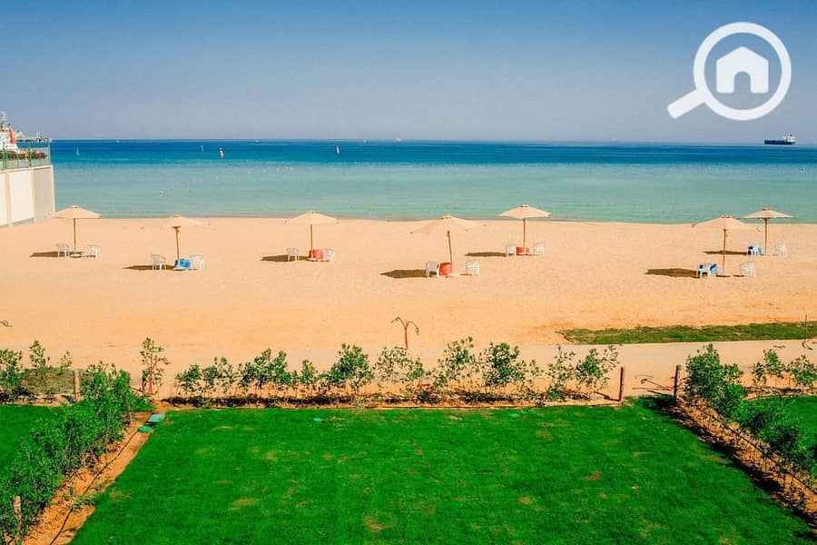 4 365482054_6923022694409207_3341580689706811791_n. jpg