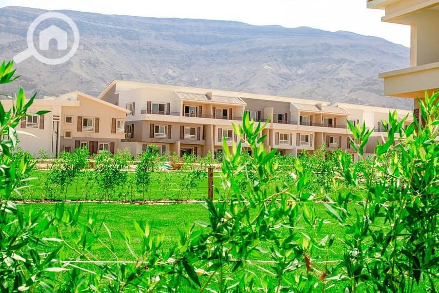 5 365413830_9922416347800259_6752821066235297626_n. jpg