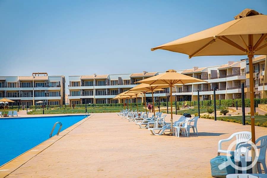 7 361795401_6939995479364603_2900254581200219552_n. jpg