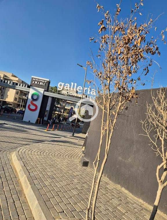 4 580066378_122158545716725424_735997023619804428_n. jpg