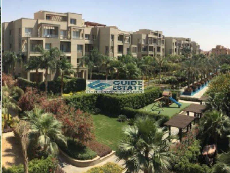 16 5 - Copy - Copy. png