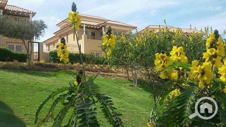 2 51432669_265083407717770_3815075395833692160_n. jpg