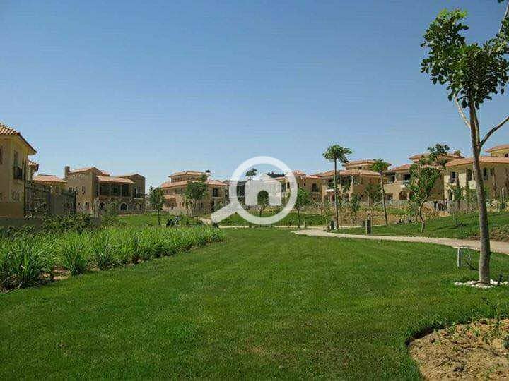 8 53167530_2258298477791497_5145889669837225984_n. jpg