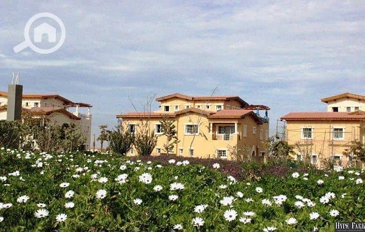 9 53305483_2258298381124840_8049439736919490560_n. jpg